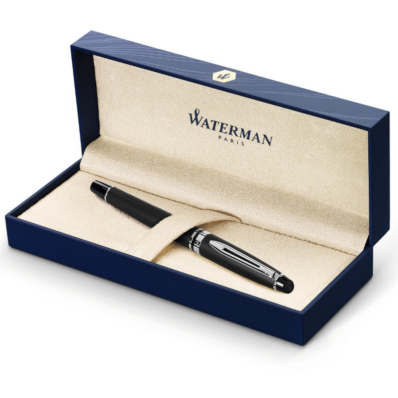 Waterman Expert Matt Black CT